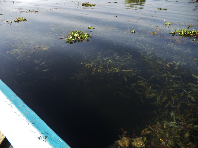 boat trip on Lake Inle