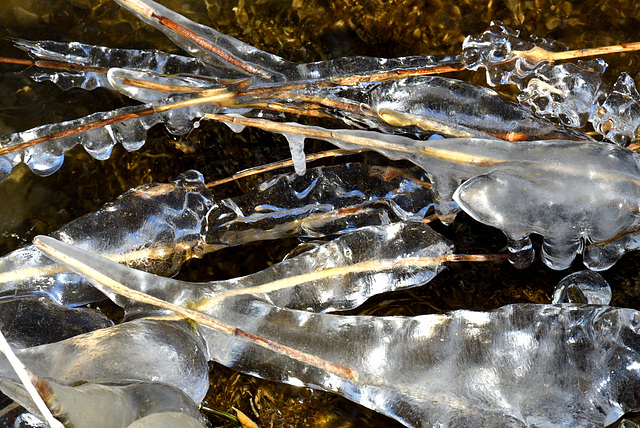 Eisstäbchenmikado