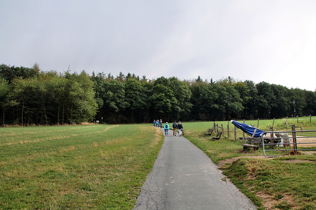 Berger Weg (Hattingen-Elfringhausen) / 25.08.2018