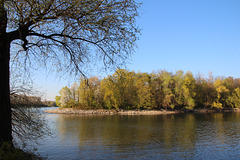 Blick auf die Rheininsel