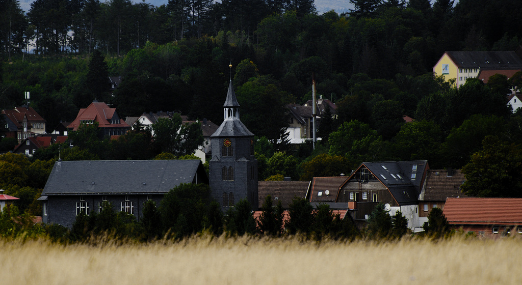 20230813_benneckenstein wandern