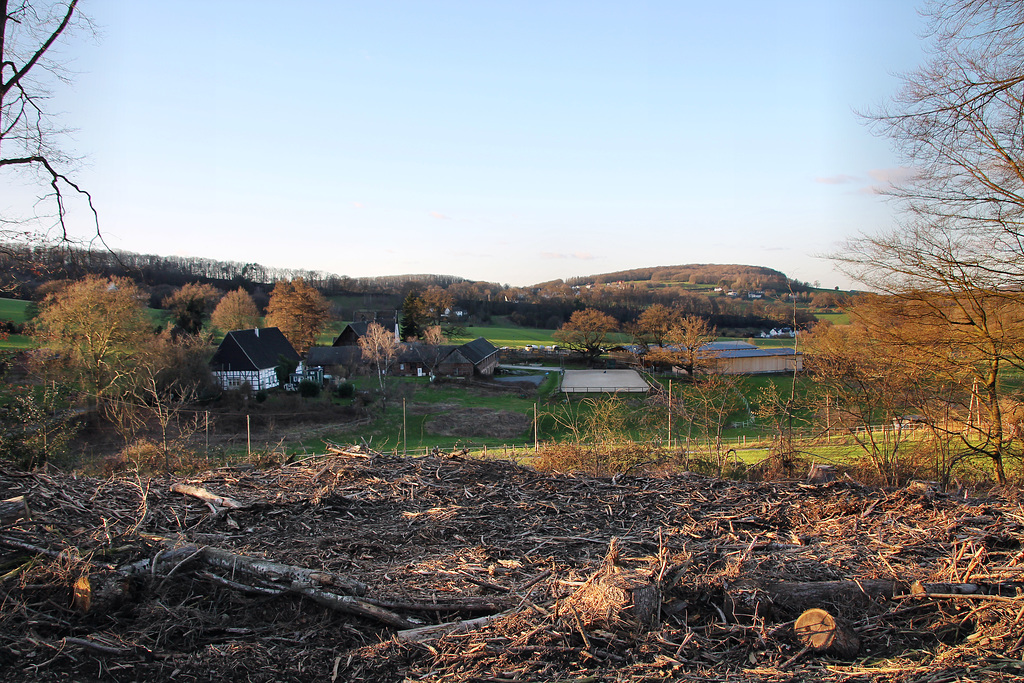 Blick auf Gut Steinhausen (Wetter) / 25.02.2023