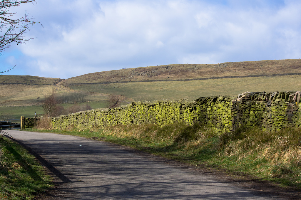 Cown Edge