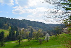 Berge   Täler in Fichtenberg