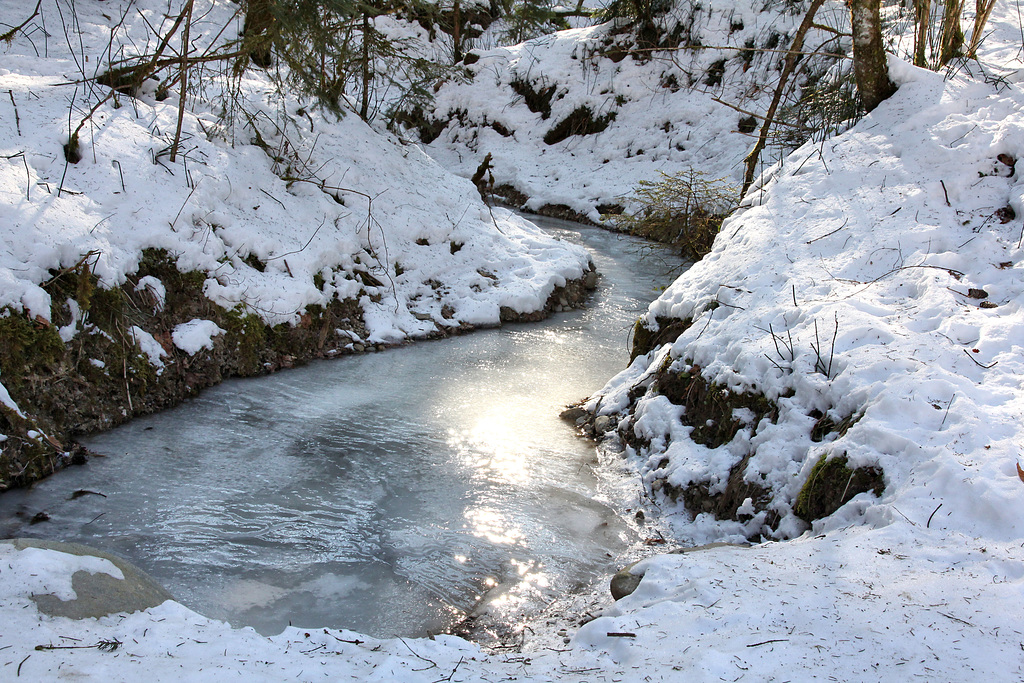 gefrorener Zufluss der Argen