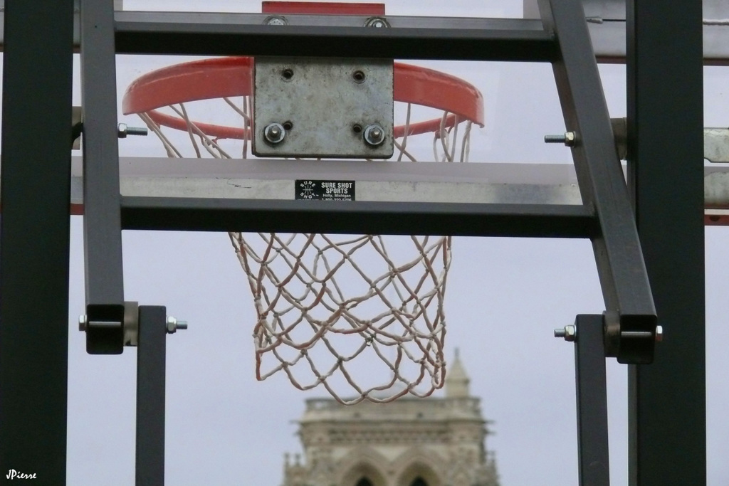Filet de Basket