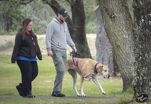 Dane-and-parents-on-a-stroll