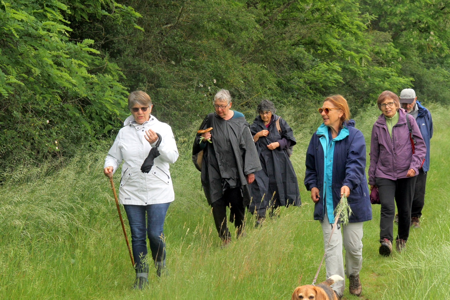 Sortie bois de Chartrettes et Livry-sur-Seine