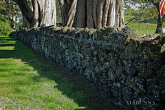 Near Auckland