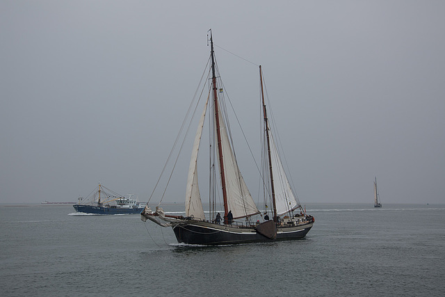 20140910 5116VRAw [NL]  Segelschiff, Terschelling