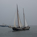 20140910 5116VRAw [NL]  Segelschiff, Terschelling