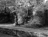 A long wait at Higher Poynton Railway Station