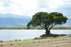 Ngorongoro, Ngoitokitok Lake