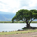 Ngorongoro, Ngoitokitok Lake