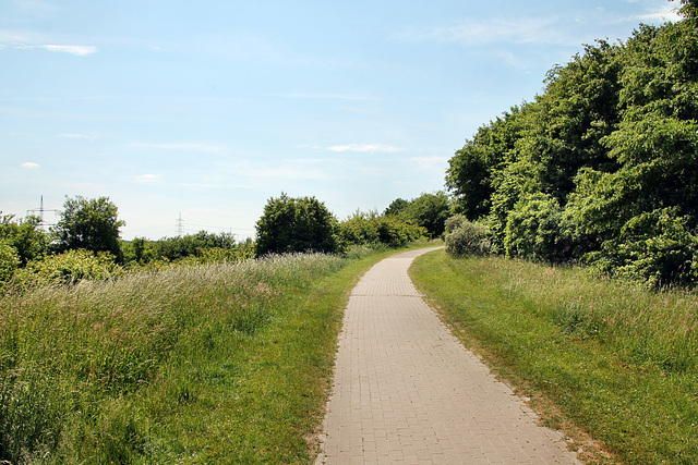 Grünanlage, ehemals Kraftwerksgelände (Bochum-Hordel) / 21.05.2018