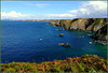 Hell's Mouth  and North Cliffs from The Knavocks. For Pam.