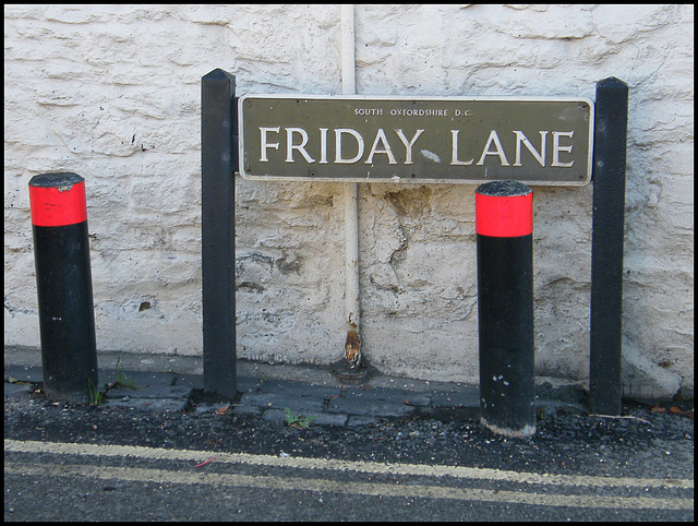 Friday Lane sign