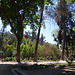 Terraza del cerro San Cristóbal, Santiago de Chile