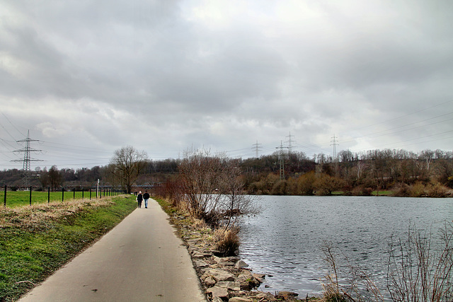 Weg entlang der Ruhr (Essen-Burgaltendorf) / 21.03.2021