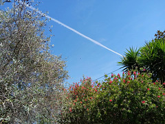 ...under the international route...