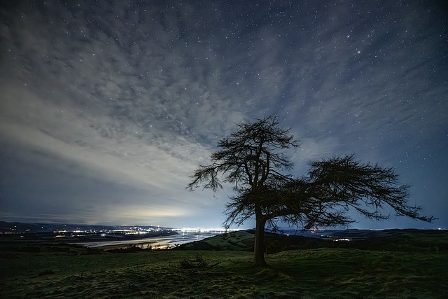 Dundee from a distance