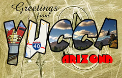 Yucca Arizona Postcard
