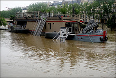 Crue Seine Paris-juin2016