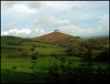 Colmer's Hill with bracken