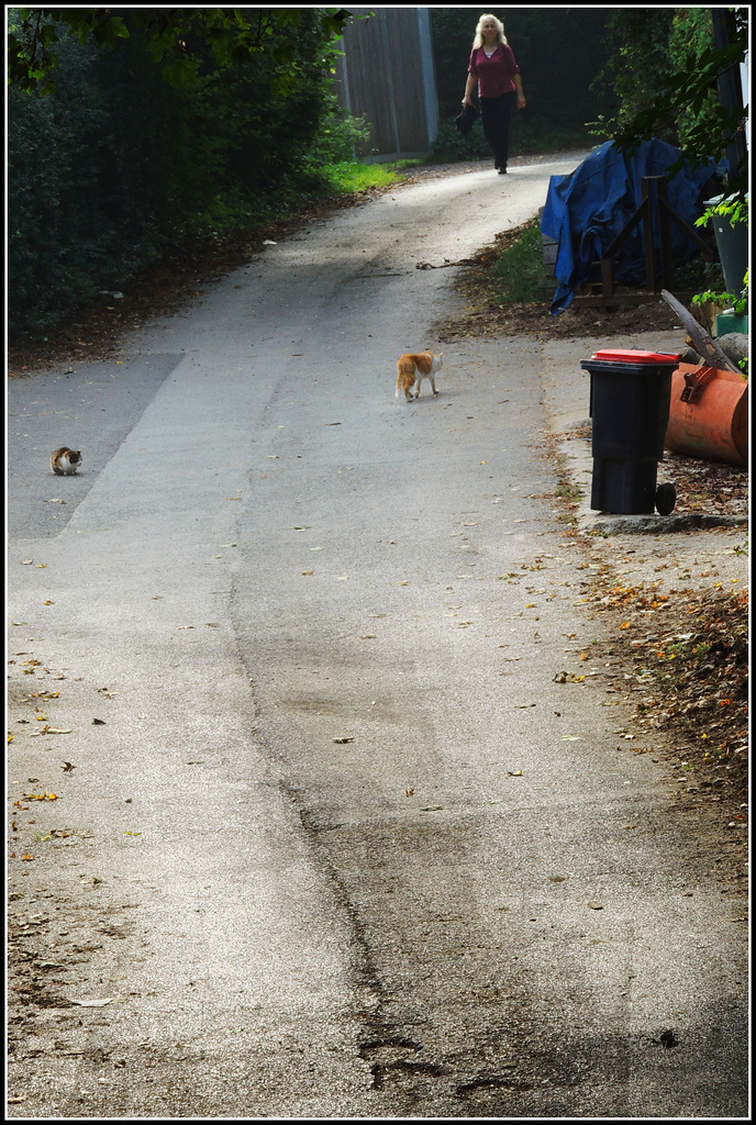 The lady with  two of her cats