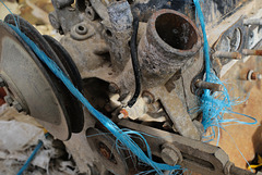 Penedos, Blue rope on engine