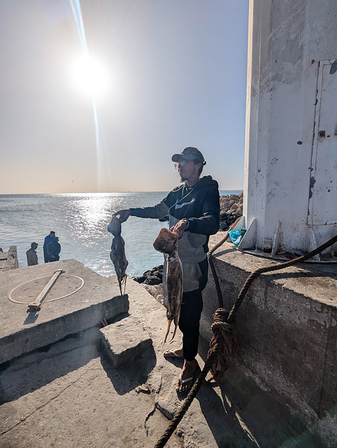 Il était fier de ses deux prises ! So proud of his two octopus !