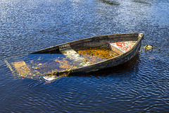 Partially Sunken Rowing Boat