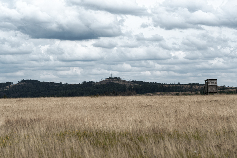 20230813_benneckenstein wandern