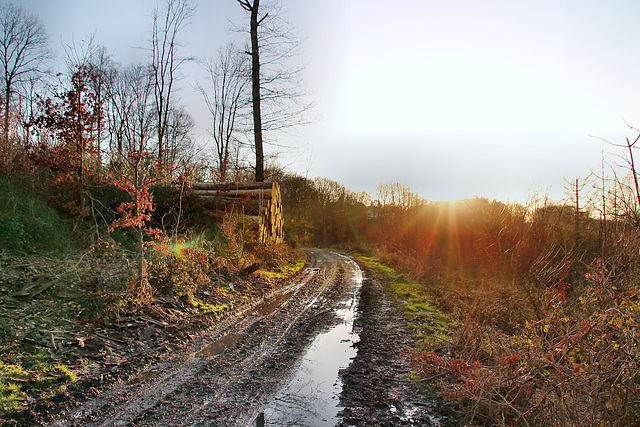 Wanderweg, ehemals Trasse der Harkort'schen Kohlenbahn (Wetter) / 25.02.2023