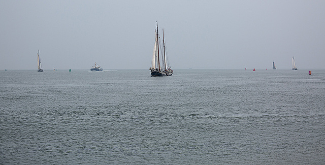 20140910 5114VRAw [NL]  Segelschiff, Terschelling