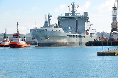 RFA TIDESPRING