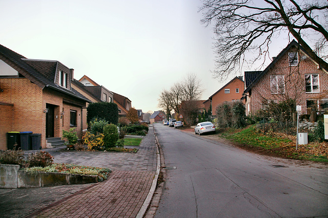 Burgstraße (Haltern-Lippramsdorf) / 12.12.2018