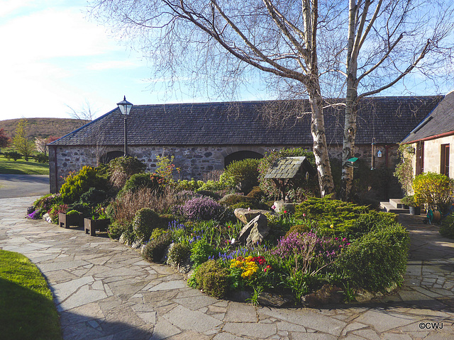 Early morning sunlight in the courtyard garden