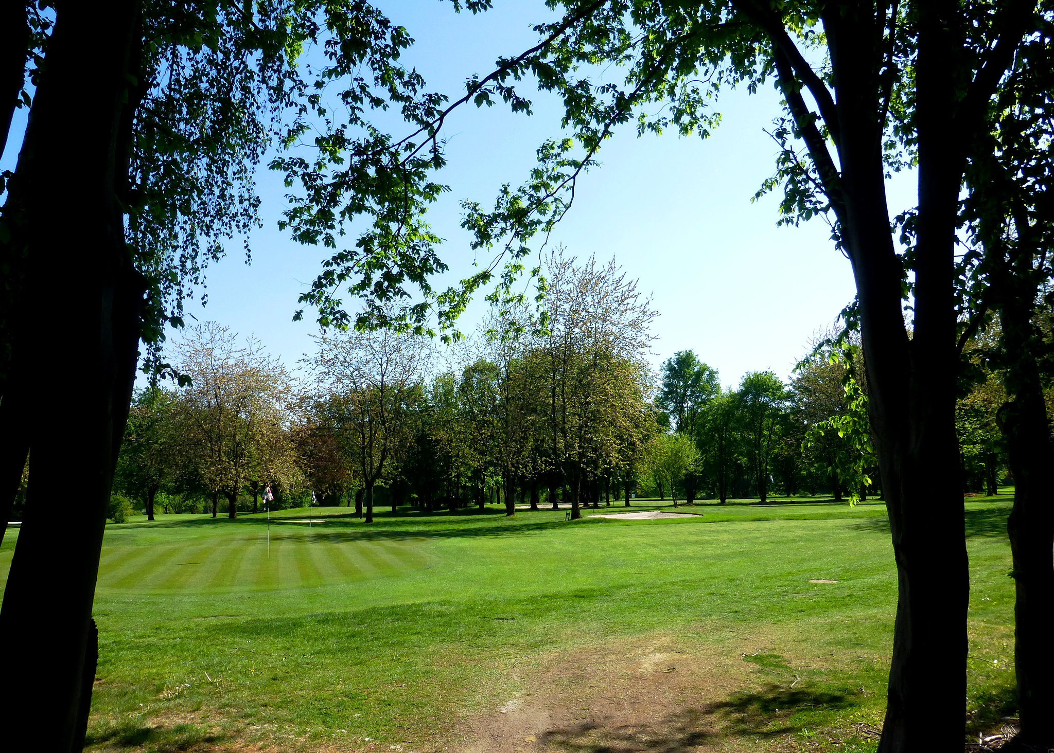 Auf dem Golfplatz