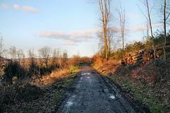 Ehemalige Trasse der Harkort'schen Kohlenbahn (Wetter) / 25.02.2023