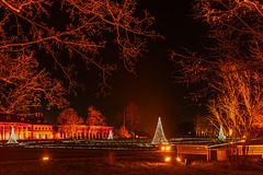 Christmas Garden, Pillnitz - 2025 Christmas Garden, Pillnitz - 2025
