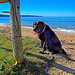 Coco at Long Beach