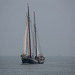 20140910 5113VRAw [NL]  Segelschiff, Terschelling