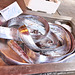 frischer Fisch - auf dem Markt in Siracusa