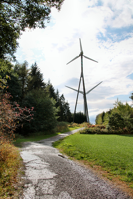 Weg zu den Windrädern (Hattingen-Elfringhausen) / 25.08.2018