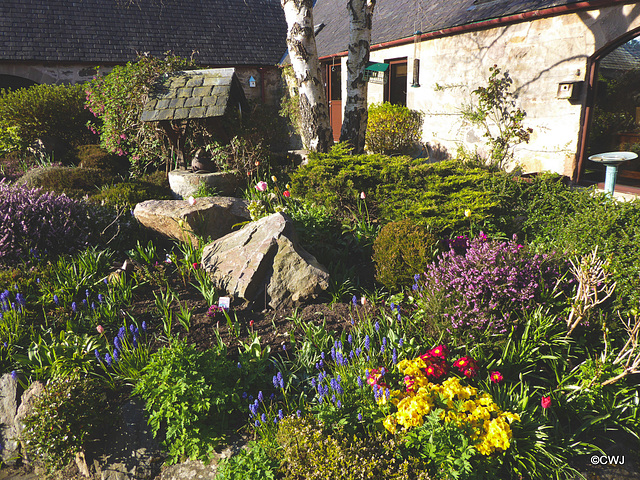 Early morning sunlight in the courtyard garden