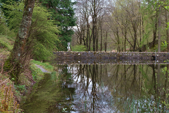 Yee Tree Tarn reflection