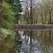 Yee Tree Tarn reflection