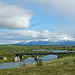 an der Þorvaldsá beim Ólafsfjarðarvegur - kurz hinter Akureyri (© Buelipix)