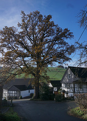 Fototour, Oberhenneborn